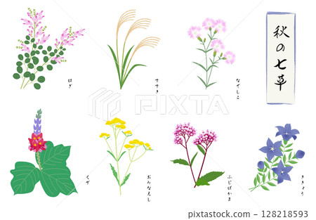 Autumn seven herbs set 128218593