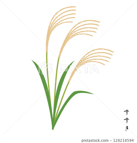 Seven autumn herbs, Japanese silver grass 128218594
