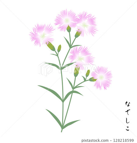 Seven autumn herbs, dianthus Seven autumn herbs, dianthus 128218599