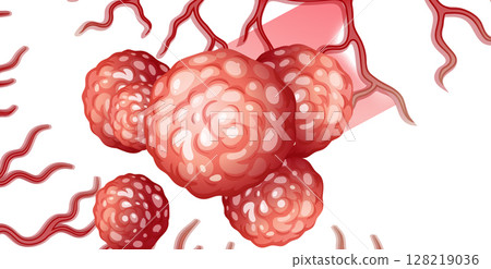 Detailed Vector Illustration of Human Cells 128219036