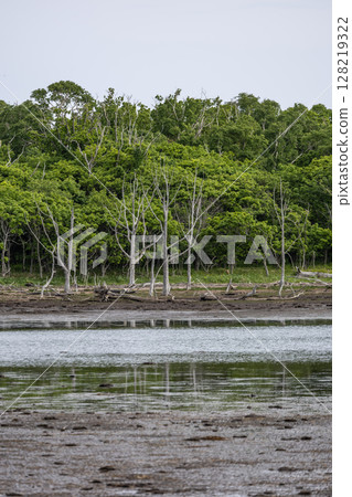 北海道諾肯半島的Narawara 北海道諾肯半島的Narawara 128219322