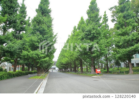 慶應義塾大學日吉校區 128220140