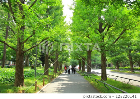 慶應義塾大學日吉校區 128220141