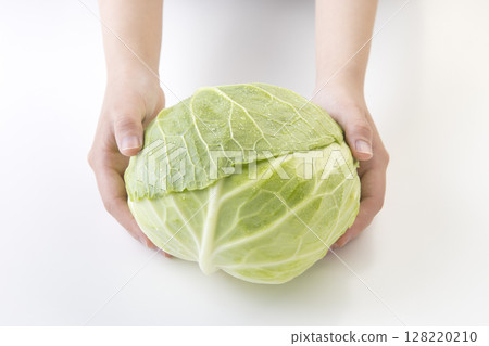 吃高麗菜的人 128220210