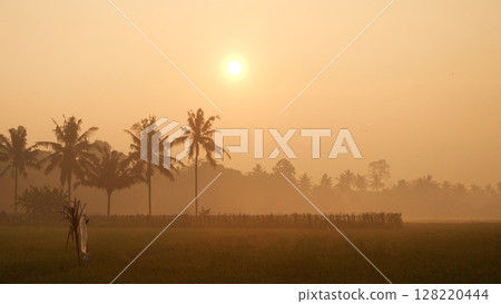 Golden sunshine sky tropical tree fields in sunny morning. Silhouette tree gold dawn mountain in spring season. Sustainable scenic meadow misty fog forest in countryside. Amazing landscape greenery Golden sunshine sky tropical tree fields in sunny morning. Silhouette tree gold dawn mountain in spring season. Sustainable scenic meadow misty fog forest in countryside. Amazing landscape greenery 128220444
