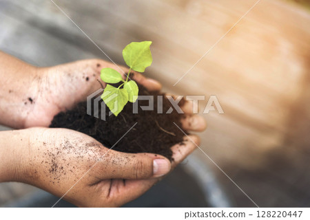 Eco green earth environment concept. Hand with growing tree on earth day with sunlight bokeh in morning. Save world energy protect by plant tree in soil and watering. 128220447