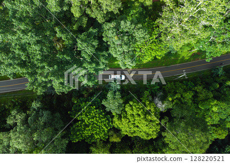 Aerial view of green forest road and transportation. Nature conservation, environment and transportation. Aerial view of green forest road and transportation. Nature conservation, environment and transportation. 128220521