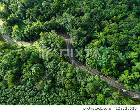 Aerial view of green forest road and transportation. Nature conservation, environment and transportation. 128220526