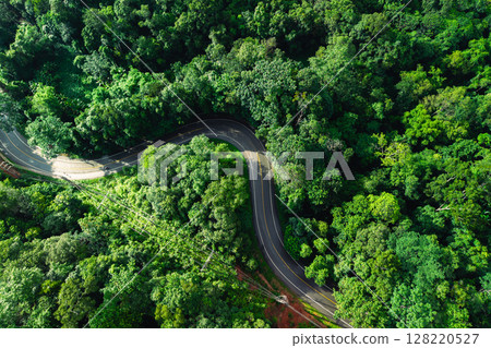 Aerial view of green forest road and transportation. Nature conservation, environment and transportation. 128220527