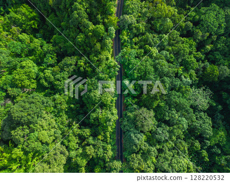 Aerial view of road in green forest and transportation. Nature conservation environment. 128220532