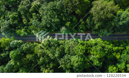 Aerial view of road in green forest and transportation. Nature conservation environment. 128220534