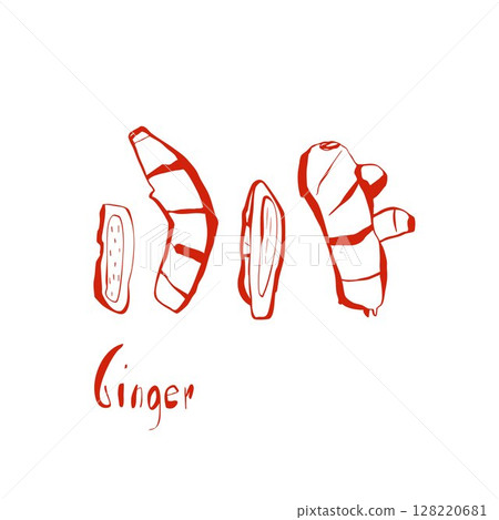 Hand drawn ginger root and cross sections in clean vertical layout for spice product packaging or natural medicine design 128220681