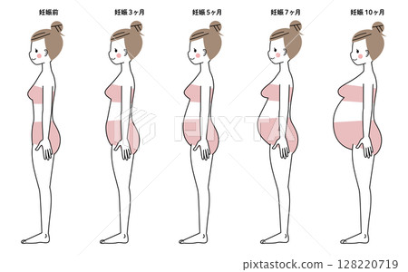 腹部大小隨懷孕週數的變化 128220719