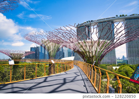 新加坡濱海灣花園的景色 新加坡濱海灣花園的景色 128220850