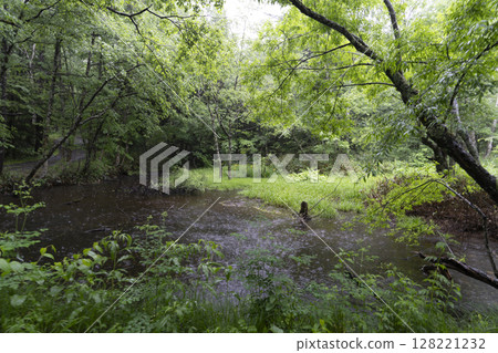 Rain Kamikochi 128221232