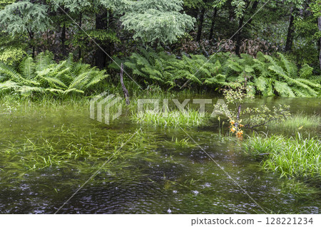 Rain Kamikochi Rain Kamikochi 128221234