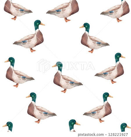 Seamless pattern with watercolor ducks hand drawn mallard birds on white background for kids wallpaper and fabric 128221927