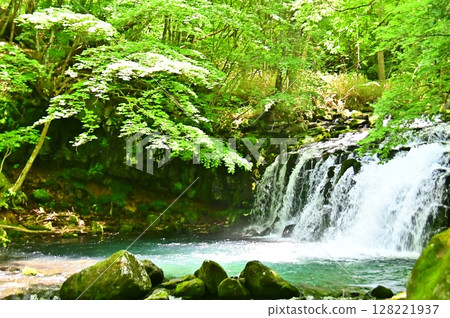 Tateshina Falls and its emerald green pool flowing between the fresh greenery of trees Tateshina Falls and its emerald green pool flowing between the fresh greenery of trees 128221937