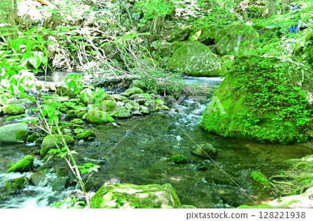 Waterfall of Yukawa River flowing between rocks covered with green moss Waterfall of Yukawa River flowing between rocks covered with green moss 128221938