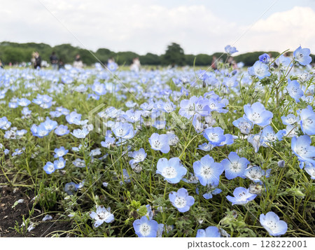 花園 花園 128222001