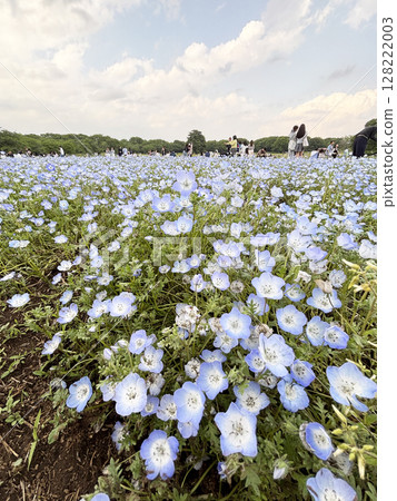 花園 128222003