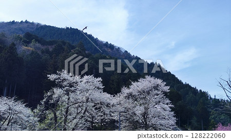 Neno valley Mombakura 128222060