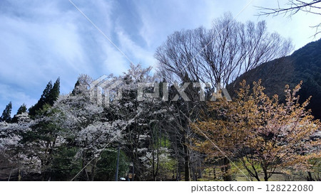 Neno valley Mombakura 128222080