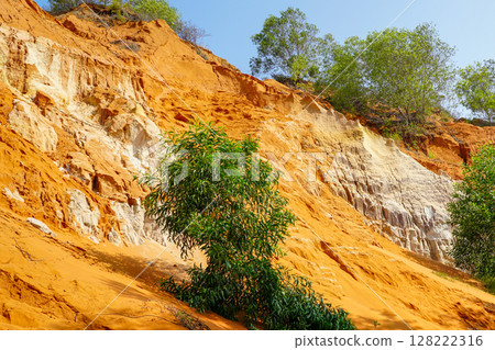 Colorful Sandstone Layers and Vegetation in Ham Tien Canyon, Vietnam on a Bright Sunny Day 128222316