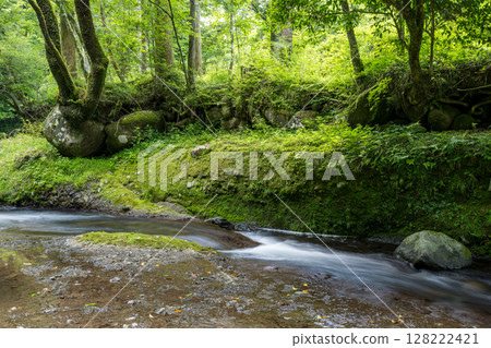 A clear waterfall flowing in summer 128222421
