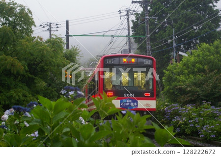 箱根登山鐵道/繡球花列車 128222672