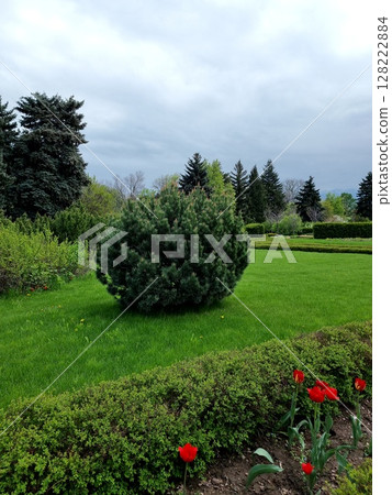 Beautiful View Of The Garden 128222884