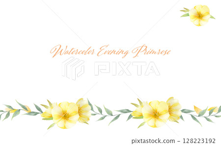 Evening primrose flower border frame Evening primrose flower border frame 128223192