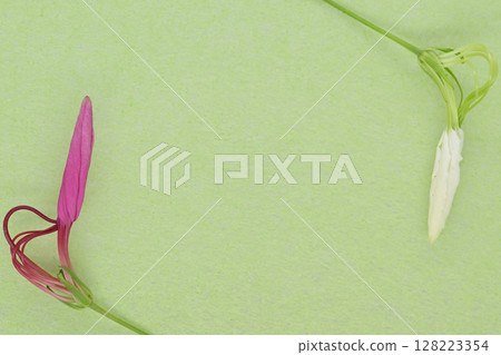 A collaboration of Japanese paper and flowers [Background material] 128223354