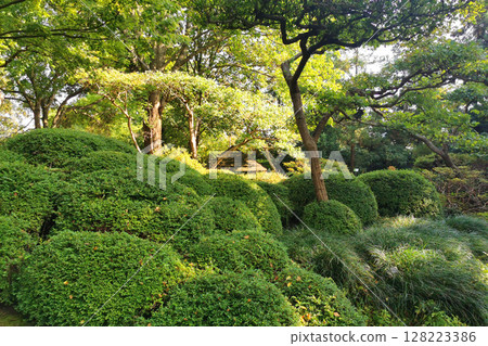 nice spring garden in czech republic 128223386