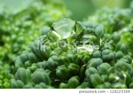 fresh broccoli vegetable fresh broccoli vegetable 128223389