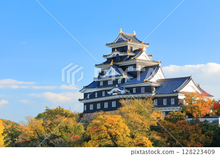 [Okayama Prefecture] Okayama Castle's castle tower covered in yellow leaves (after major renovation in the Reiwa era) 128223409