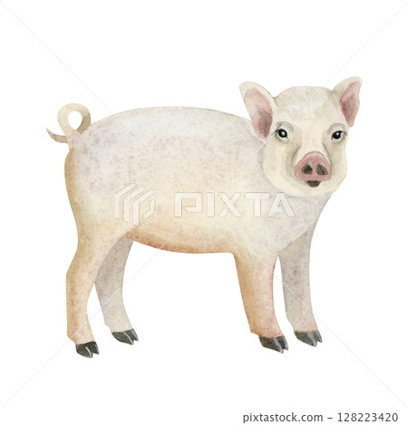 Cute baby piglet watercolor illustration isolated on white. Young pig farm animal for village and countryside designs in realistic style and light pastel pink and beige colors. Rural clip art Cute baby piglet watercolor illustration isolated on white. Young pig farm animal for village and countryside designs in realistic style and light pastel pink and beige colors. Rural clip art 128223420