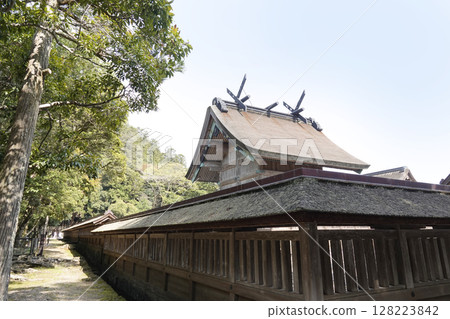 Izumo Taisha Shrine: Blue sky and the main hall seen from the north. Roof and gable decorations (chigi, katsuogi) Izumo Taisha Shrine: Blue sky and the main hall seen from the north. Roof and gable decorations (chigi, katsuogi) 128223842