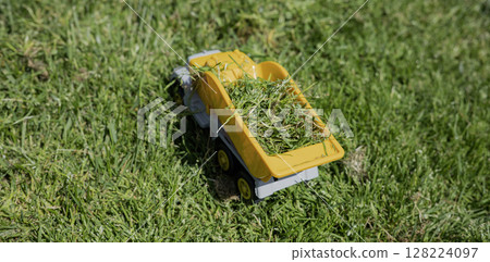 toy cars on the lawn in the sunny day 128224097