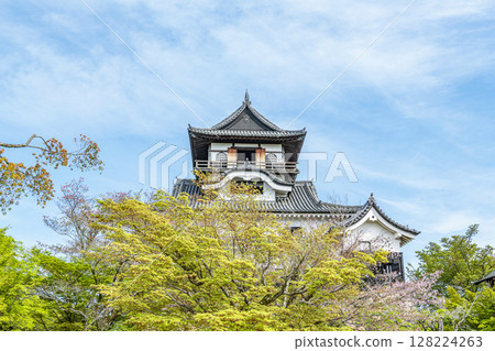 犬山城天守閣，位於愛知縣犬山市，為國寶 128224263