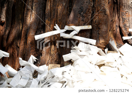 Izumo Taisha Shrine - Fortune slips tied to a fortune slip hanger wrapped around a sacred tree Izumo Taisha Shrine - Fortune slips tied to a fortune slip hanger wrapped around a sacred tree 128225274
