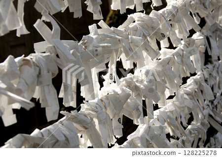Fortune slips tied to a fortune slip hanging rack at Izumo Taisha Shrine Fortune slips tied to a fortune slip hanging rack at Izumo Taisha Shrine 128225278