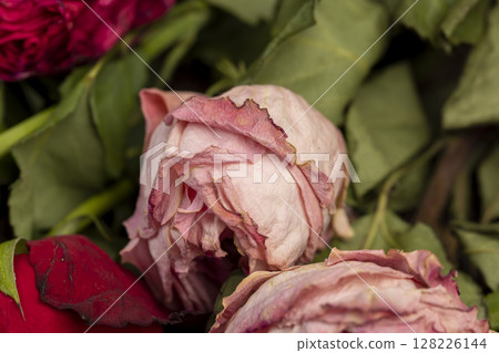 dry roses in a bouquet, a dry bouquet of roses on the table, close up dry roses in a bouquet, a dry bouquet of roses on the table, close up 128226144