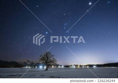 冬日星座和一棵孤獨的樹 冬日星座和一棵孤獨的樹 128226244