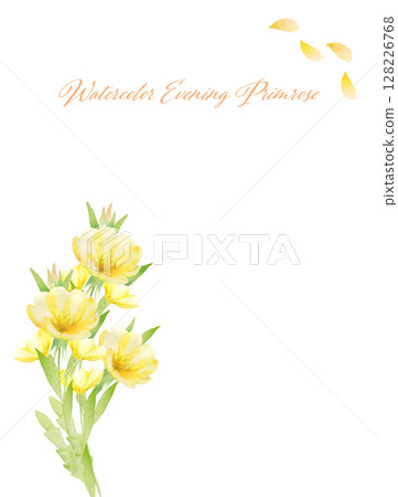 卡片的水彩月見草框架 卡片的水彩月見草框架 128226768