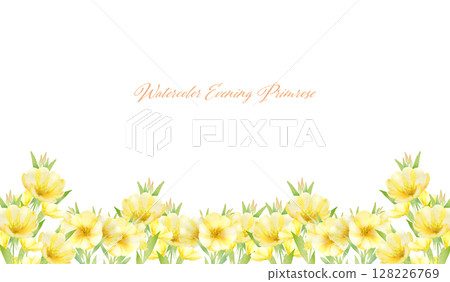 水彩月見草花田框架 128226769