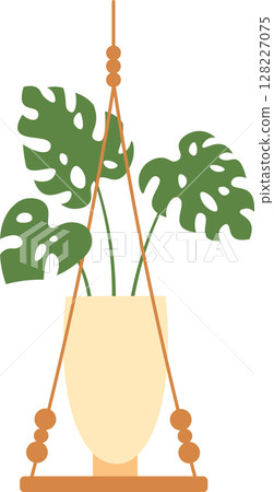 Monstera deliciosa plant hanging in a beige pot with macrame and wooden base, isolated on a white background, perfect for home decoration and bringing nature indoors Monstera deliciosa plant hanging in a beige pot with macrame and wooden base, isolated on a white background, perfect for home decoration and bringing nature indoors 128227075
