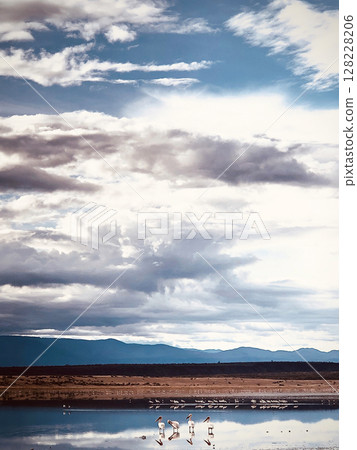 Kenya Photographers By Antony Trivet Photography Kenya Photographers By Antony Trivet Photography 128228206