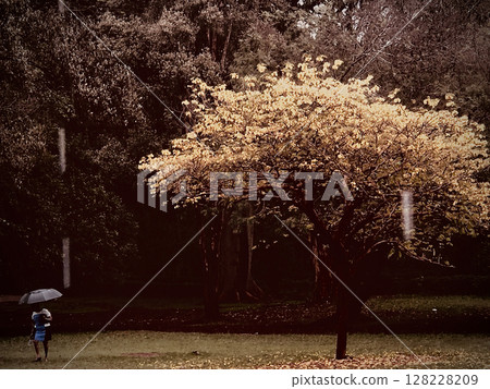 Kenya Photographers By Antony Trivet Photography Kenya Photographers By Antony Trivet Photography 128228209