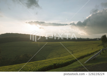 Kenya Photographers By Antony Trivet Photography Kenya Photographers By Antony Trivet Photography 128228224